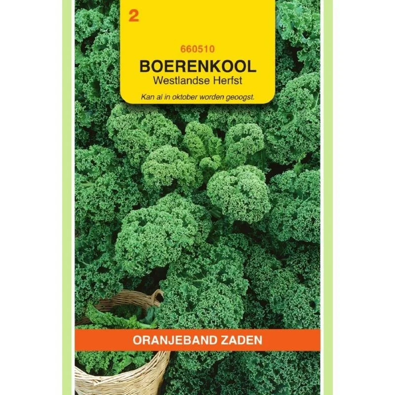 allesvoorongedierte2658324