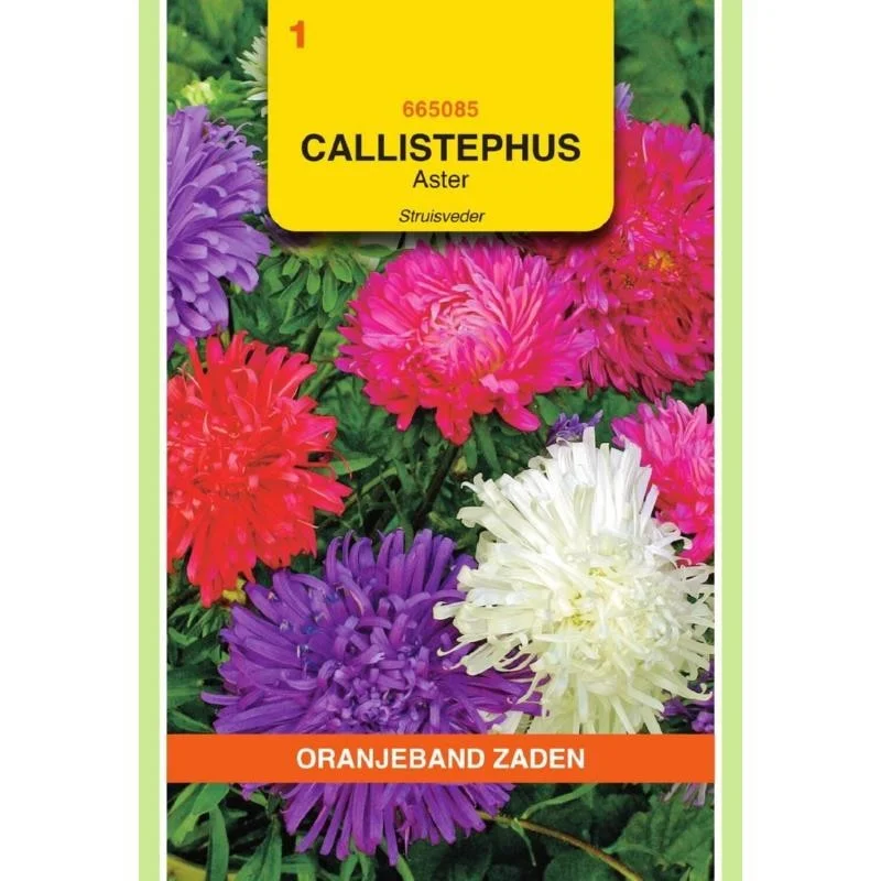 allesvoorongedierte2661339