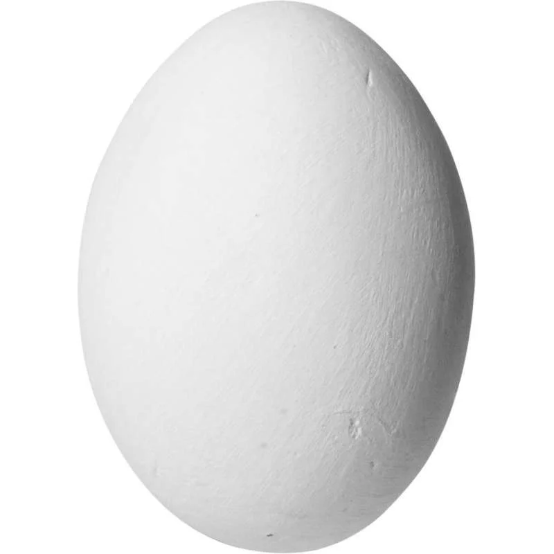allesvoorongedierte2725591
