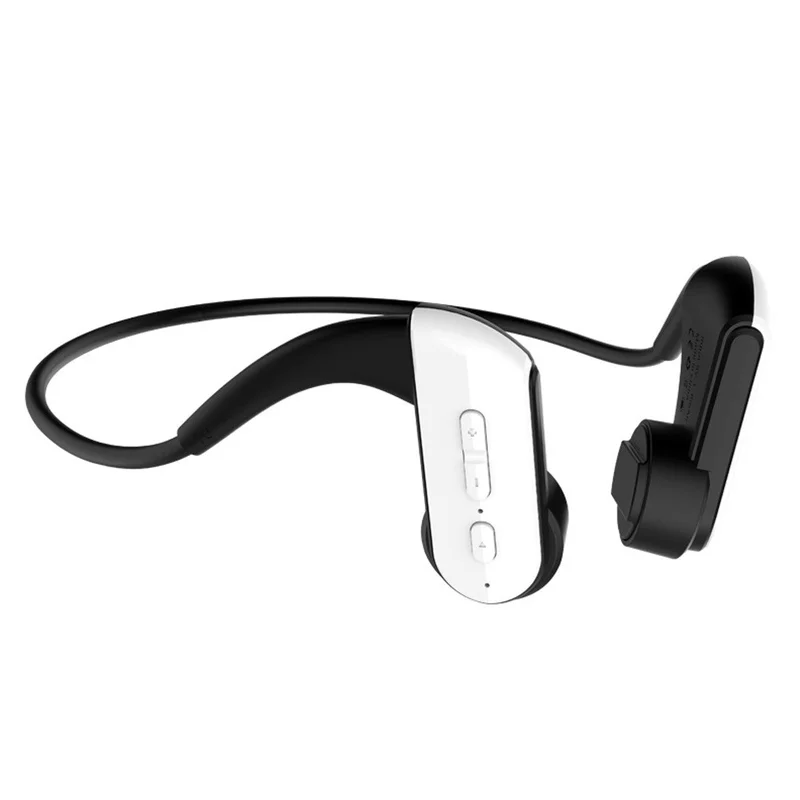 allesxl-12550149