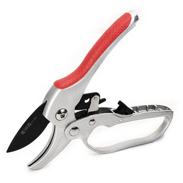 allesxl-12834142