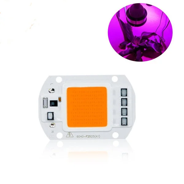 allesxl-13083168