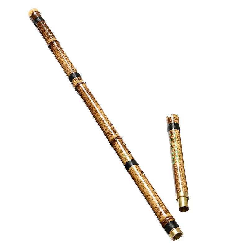 allesxl-13118237