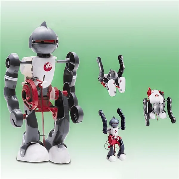 allesxl-22565030