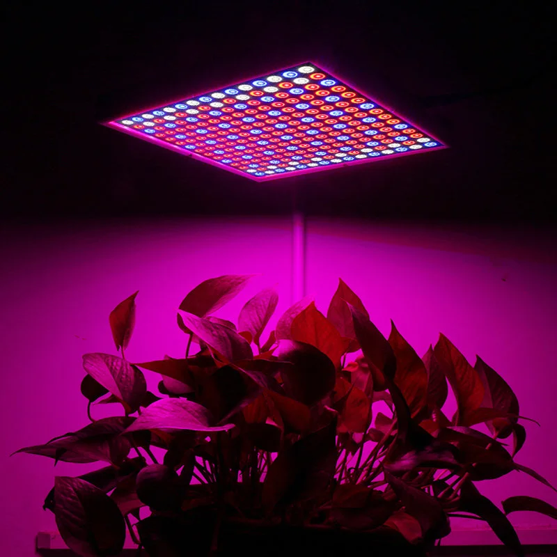 allesxl-23106936