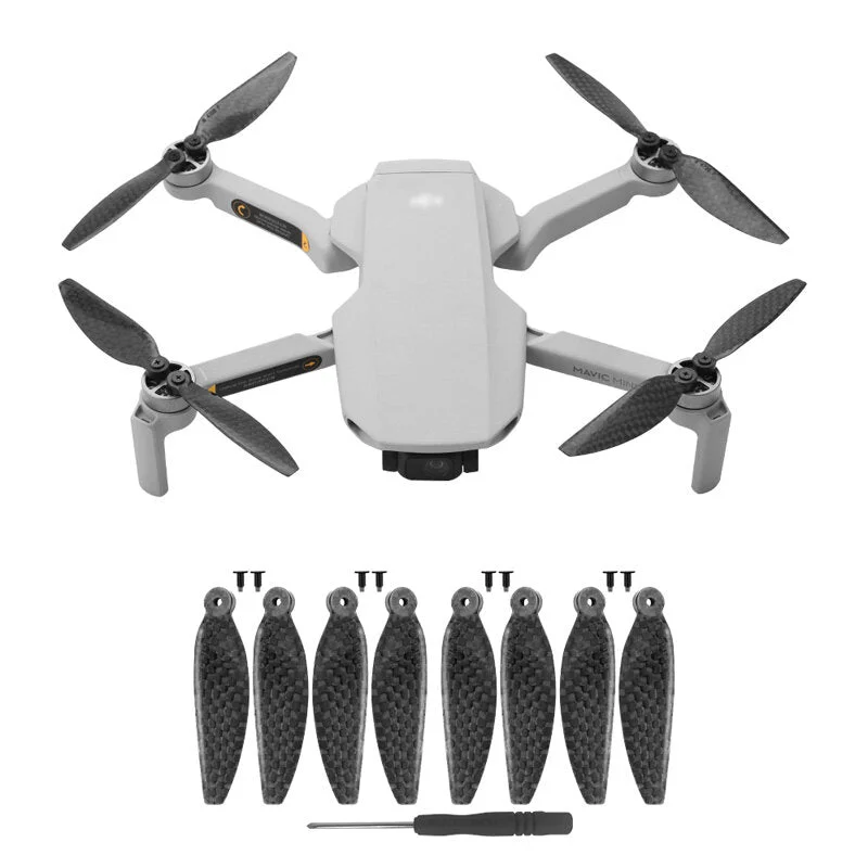 allesxl2466004
