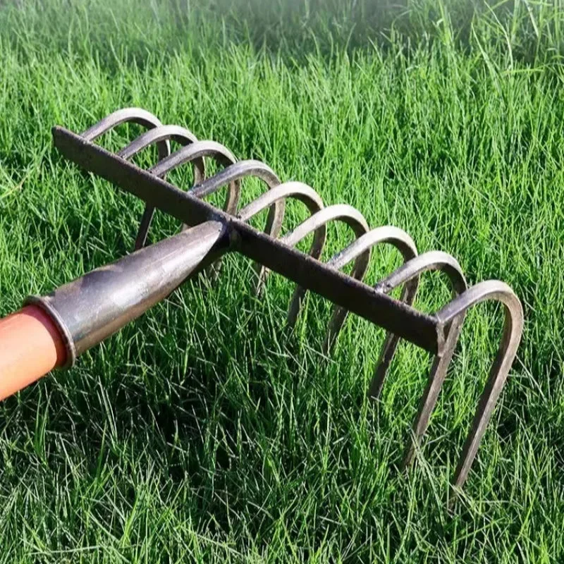 allesxl2657251