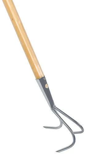 deboet2662141