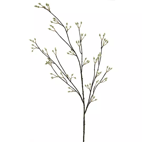 deboet2709493