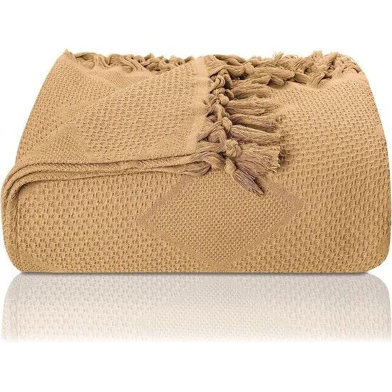 ribbi3074702