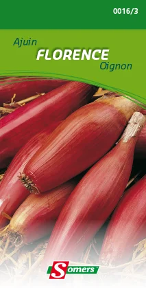 suprabazar-32840437