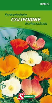 suprabazar-32965432