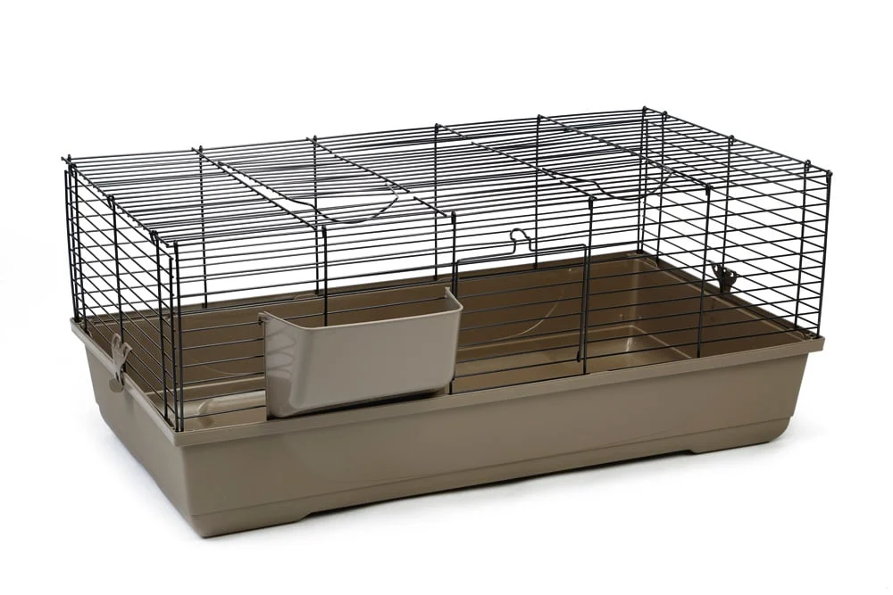 welkoop2635134